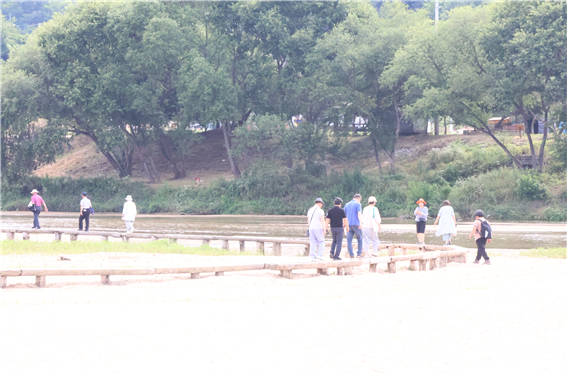 상주시 마을리빙랩 연구원들이 무섬마을 외나무다리를 걸으며 전통경관과 주민 생활공간이 관광자원으로 활용되는 현장을 둘러보고 있다. 참가자들은 역사·생활문화·경관자원을 주민생활과 조화되는 공동체 콘텐츠로 발전시키는 방안을 살펴봤다.
