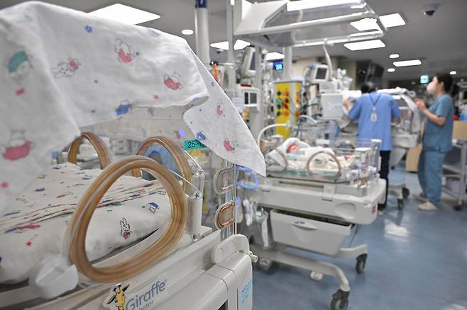 의료진이 2024년 3월 분당서울대병원 신생아중환자실(NICU)에서 신생아들을 관리하고 있다. 정다빈 기자