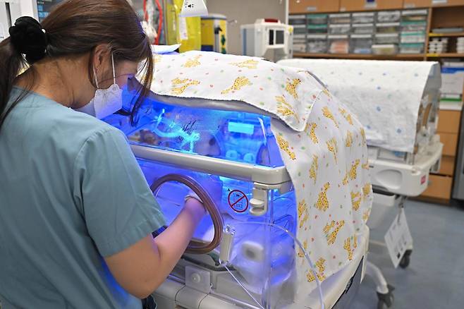 의료진이 2024년 3월 분당서울대병원 신생아중환자실(NICU)에서 신생아들을 관리하고 있다. 정다빈 기자