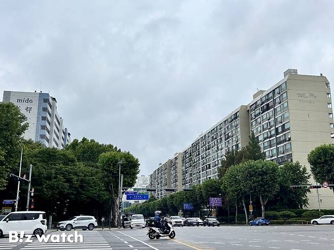 서울 강남구 대치동의 은마아파트(오른쪽)와 미도아파트. /사진=김진수 기자