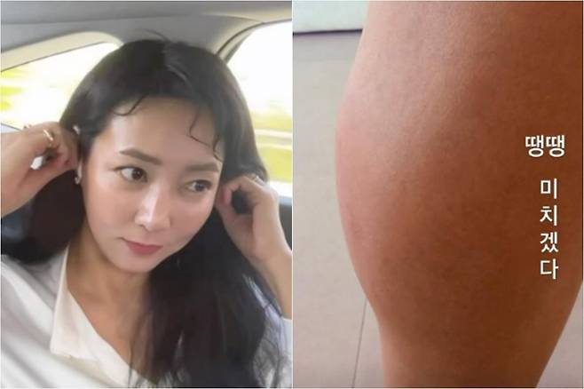 출처:진재영