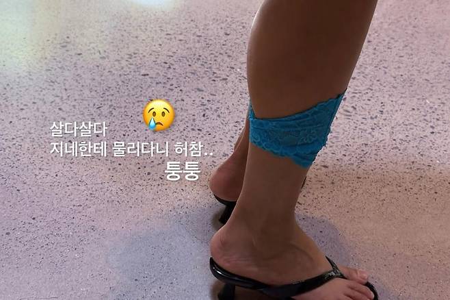 출처:진재영