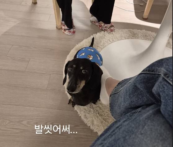 Former national figure skating team member Kim Yuna cleverly clarified the situation on her social media after a video of her petting her dog with her foot went viral. As the scene of her petting her dog with her foot garnered attention during a glimpse into her daily life with her pet, Kim Yuna brought laughter to her fans by adding the explanation that she had washed her feet.On the 11th, Kim Yuna posted a photo of herself with her pet on her social media along with a caption stating that she had washed her feet. She left this witty response to prevent misunderstandings after the previously released video, which showed her petting her dog with her foot, attracted attention online.Meanwhile, Kim Yuna married Go Woo-rim, a member of the group Forestella, in October 2022 and started a family.