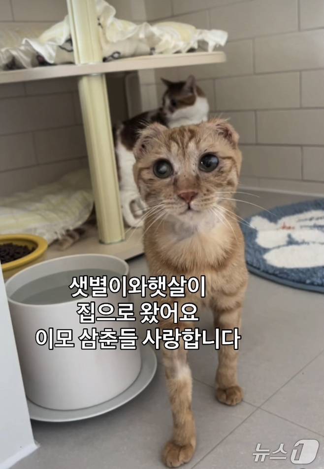 디어레이 인스타그램 ⓒ 뉴스1