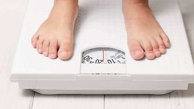 부모와 자녀가 동시에 비만한 이유는 주로 유전적 대물림이 원인이라는 연구 결과가 나왔다｜출처: 클립아트코리아