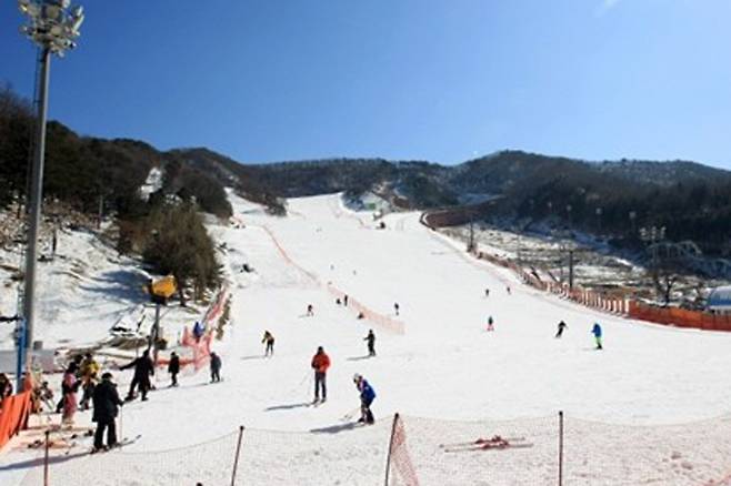 2020년 2월 용인 양지파인리조트 스키장 모습 [파인리조트 홈페이지 캡처. 재판매 및 DB 금지]