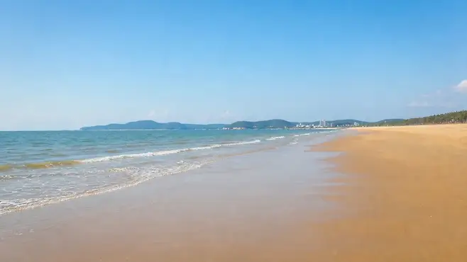 대천해수욕장 넓은 모래사장과 서해 바다, 낮은 해안 구릉이 보이는 대표 전경