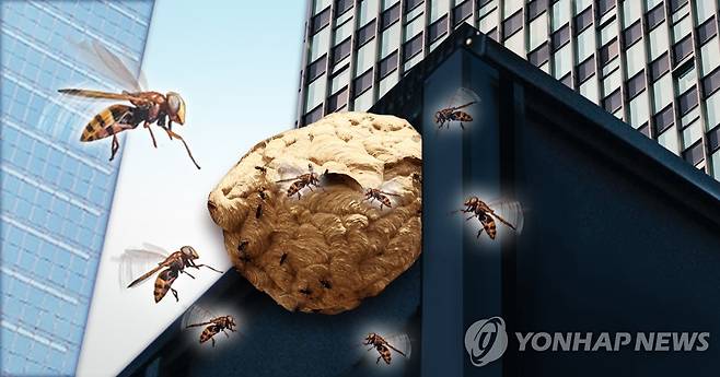 도심 빌딩 벌집 (PG) [정연주 제작] 사진합성·일러스트