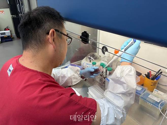 충남 홍성군 충남동물위생시험소에서 연구원이 도축장에서 채취한 돼지 혈액 시료를 유전자 추출용 용기에 옮기고 있다. ⓒ데일리안 김소희 기자