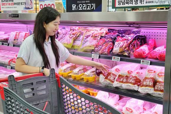 모델이 서울 롯데마트 제타플렉스 잠실점 닭고기 코너에서 백숙용 닭을 둘러보고 있다. [사진=롯데마트]
