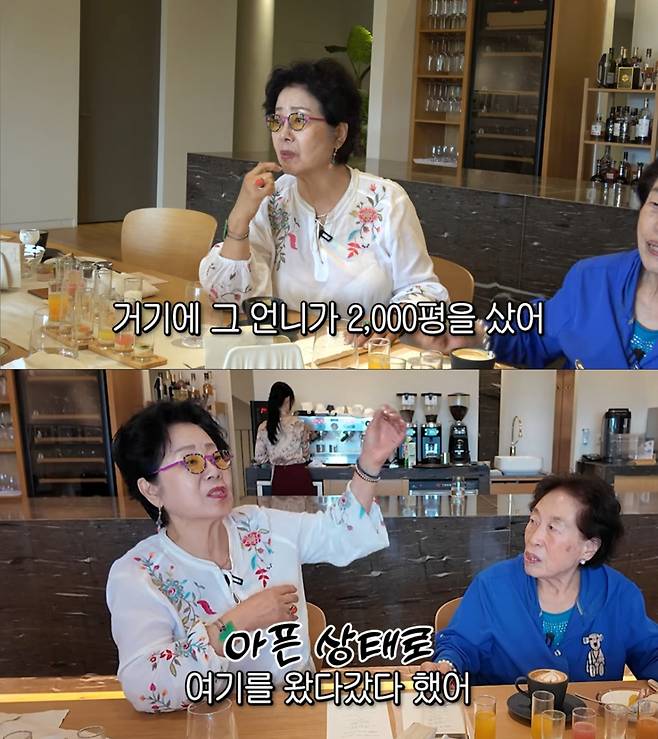 여운계의 제주도 별장을 떠올리는 선우용여. /사진=유튜브 '순풍 선우용여' 캡처
