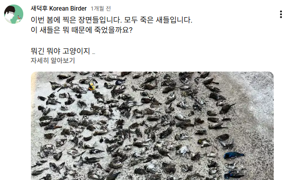 유튜브 ‘새덕후’ 채널 커뮤니티 갈무리.