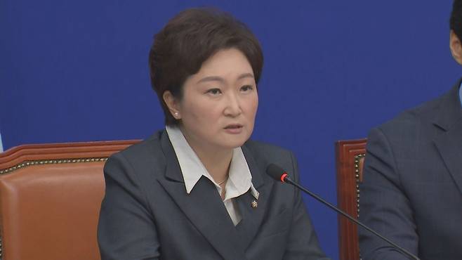이언주 더불어민주당 의원