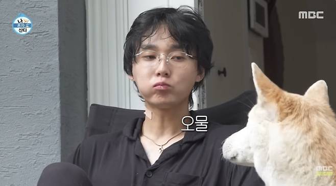 만성부신증후군 증상 및 원인 마당 힐링 모습