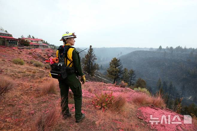 [시스터스 ( 미 오리건주)=AP/뉴시스]오리건 주 산불지역의 자욱한 연기와 산불로 이미 검게 탄 와이처스 크리크 계곡 지역을 지난 해 8월 25일 오리건주 소방대 공보관 레이철 브로조비치가 살펴보고 있다.  올해 미 산불로 소방관 4명이 숨졌고 4번째 희생자는 27월 25일 발생해서 아직 장례식도 치르지 못했다. 2026. 07. 26.