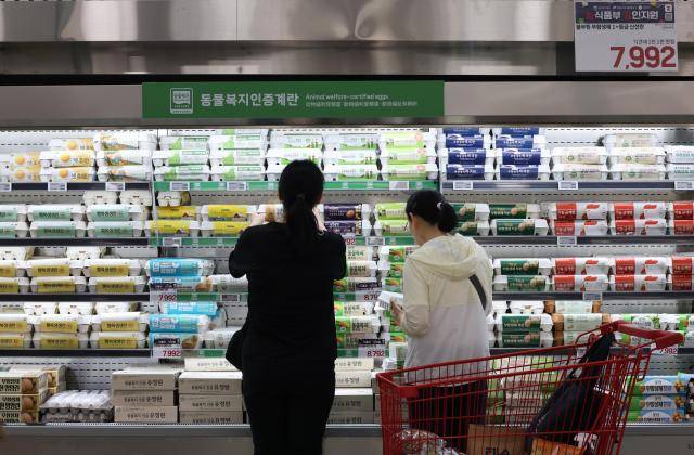 서울 시내 한 대형마트에서 시민들이 장을 보고 있다. [사진=연합뉴스]
