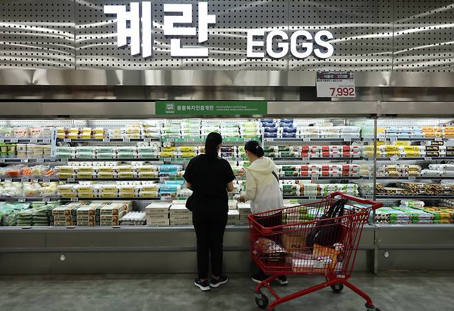 24일 서울 시내 한 대형마트에 진열된 계란. 연합뉴스