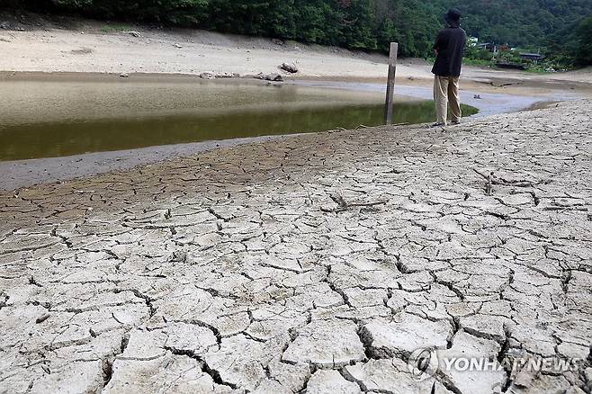 마른장마에 바닥 드러낸 백안저수지 [연합뉴스 자료사진]
