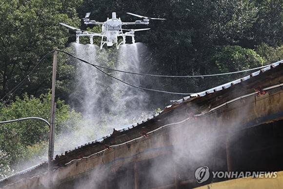 연일 이어지는 폭염으로 가축 폐사가 늘고 있는 가운데 30일 세종시 전의면의 한 양돈농가의 축사 지붕에 열차단 도포제가 드론을 활용해 시공되고 있다. 2026. 07. 30. [사진=연합뉴스]