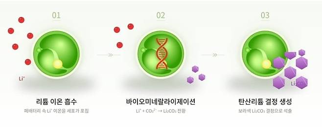핵심 제품 및 서비스