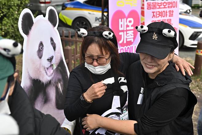 지난해 10월 푸바오 팬 모임인 '푸덕이'들이 30일 경북 경주시 황남동 내남네거리에서 열린 푸바오 환경 개선 촉구 집회에서 눈물을 흘리고 있다. 한국일보 자료사진