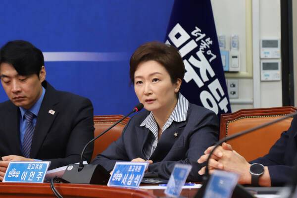 이언주 더불어민주당 의원 [이언주 의원실 제공]