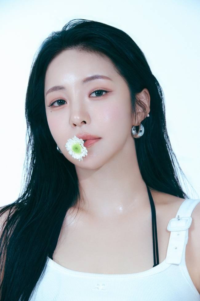 알앤디컴퍼니 제공
