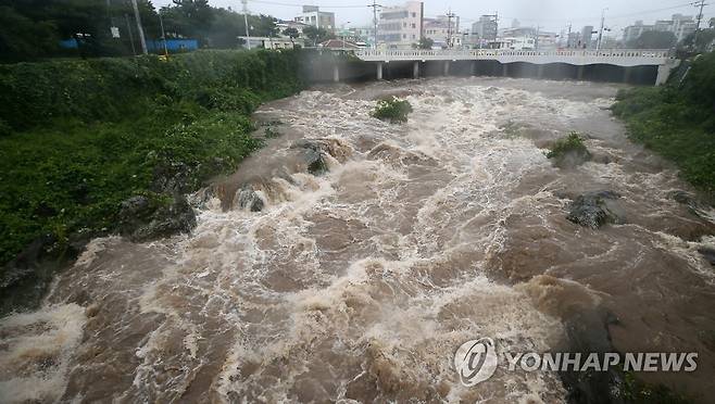 폭우에 불어난 제주 하천 [연합뉴스 자료사진]