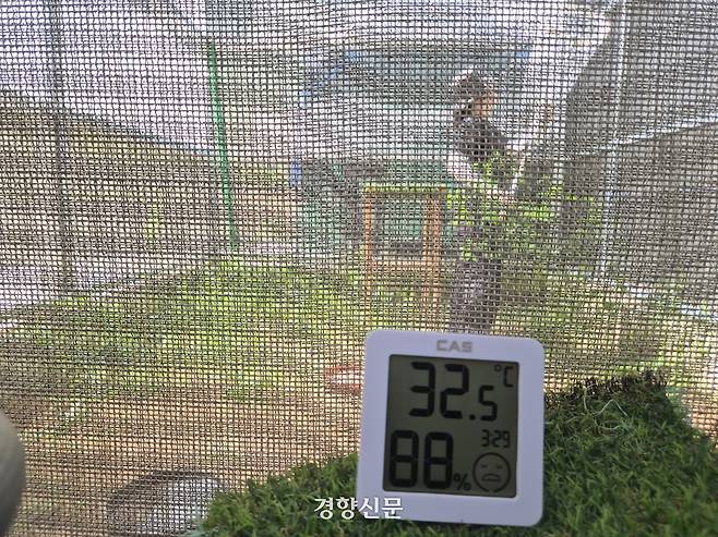 지난 7일 정예은 충남야생동물구조센터 재활관리사가 야생동물 계류장에서 물까치 포획 작업을 하고 있다. 반기웅 기자