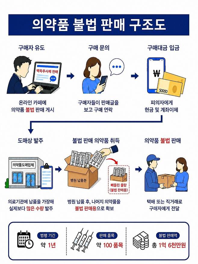 의약품 불법 판매 구조도. 식품의약품안전처 제공