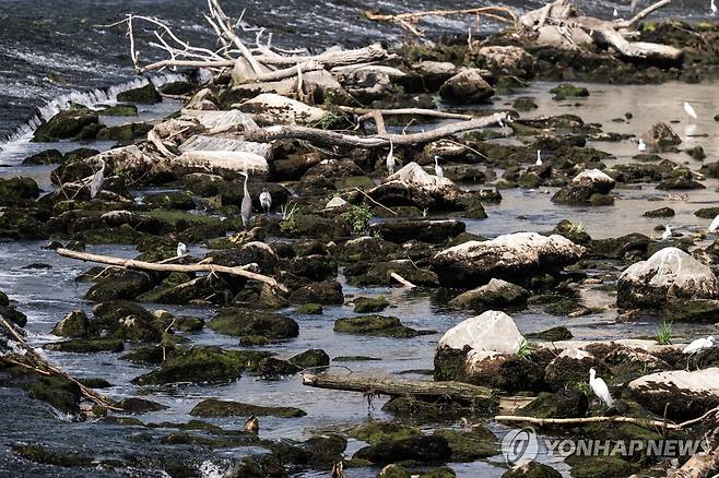 가뭄으로 바닥 드러낸 이탈리아 포강 [AFP=연합뉴스. 재배포 및 DB 금지]