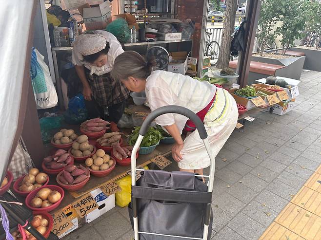 지난 10일 서울 동대문구 제기동 경동시장에서 정씨가 장을 보고 있다. /강민지 인턴기자
