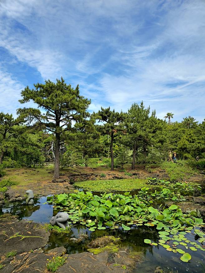 한림공원 연못정원.