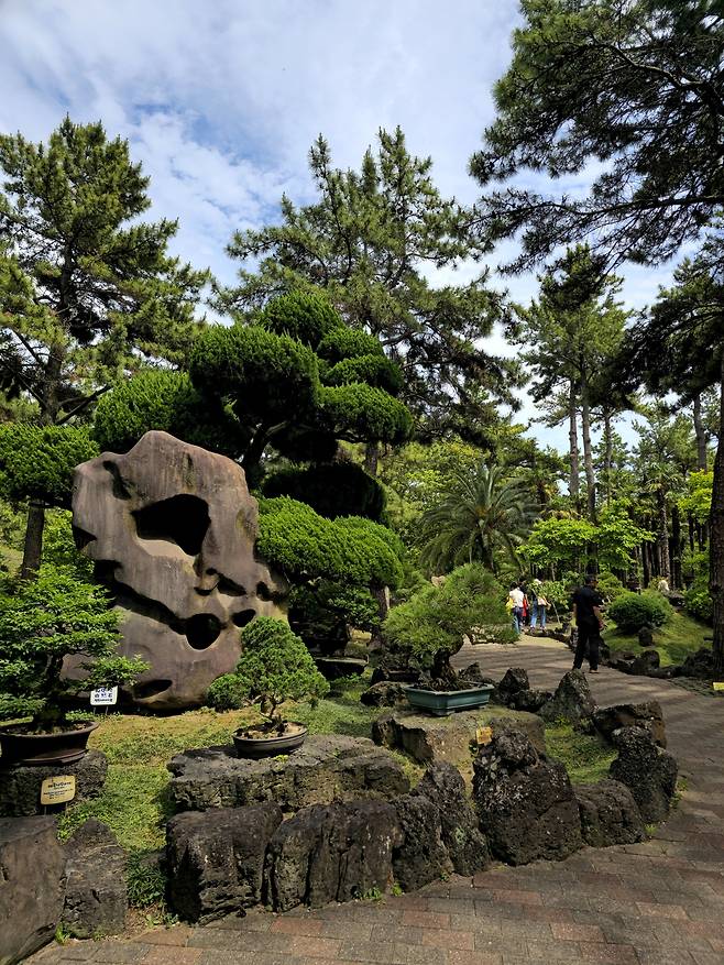 한림공원 석분재원.