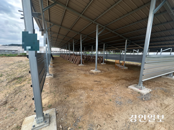 용인시 처인구의 한 농지에 세워진 간이건축물 내부에 버섯 재배용 원목이 일부만 놓여 있다. 2026.8.14 /목은수기자wood@kyeondin.com