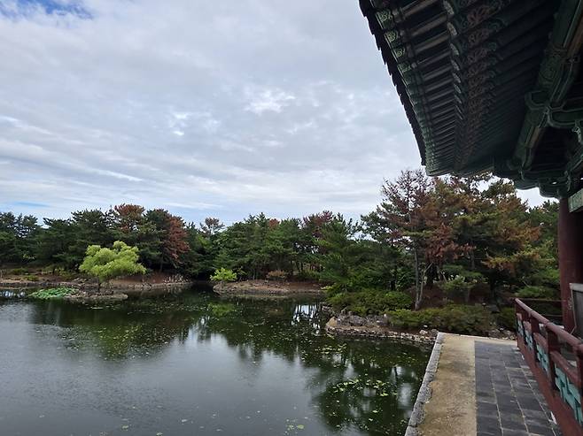 ▲ 경주의 관광명소로 수많은 관광객이 찾고 있는 동궁과월지에 재선충병이 덮쳐 곳곳에 붉게 물든 소나무들이 보인다. 황기환 기자