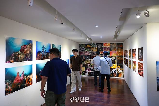19일 서울 종로구 인사동 갤러리 인덱스를 찾은 시민들이 사진가 김호웅의 전시 ‘문섬이야기’를 관람하고 있다. 이준헌 기자