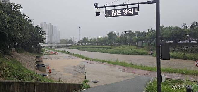 지난달 9일 평택시 통복천 일대의 수위가 집중호우로 크게 상승해 있는 모습. 경기일보DB