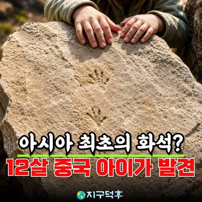 “그냥 돌?” 12살 아이가 찾아낸 아시아 최초 도롱뇽 화석 | 지구덕후