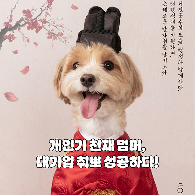 오늘의 주인공 밤토리! 보호자 제공