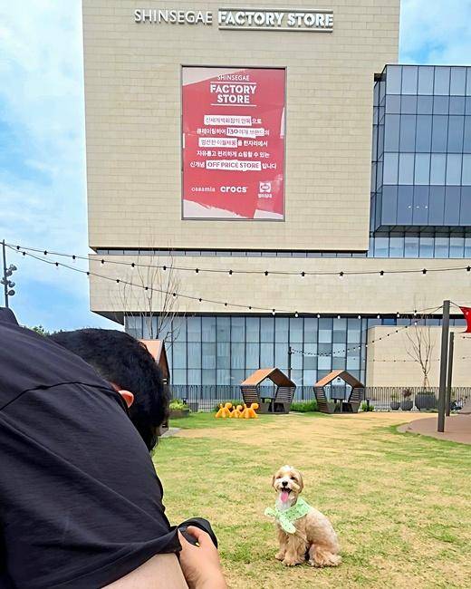 스타필드 앰버서DOG 촬영 현장이에요! 보호자 제공