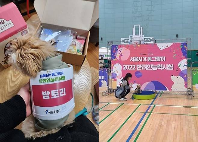 2022 반려인능력시험 실기 시험도 본 토리!