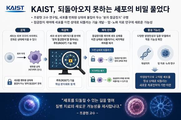 국내 연구팀이 세포를 이전으로 되돌릴 수 있는 방법을 찾았다. [사진=KAIST]