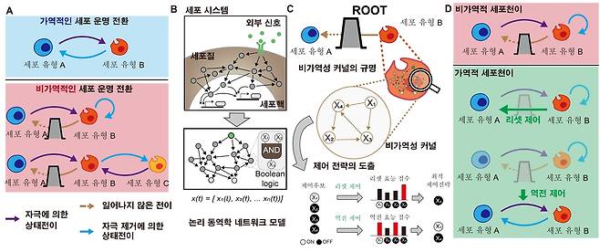 비가역적 세포 상태천이의 원인을 규명하고 제어하는 루트 프레임워크.[KAIST 제공]