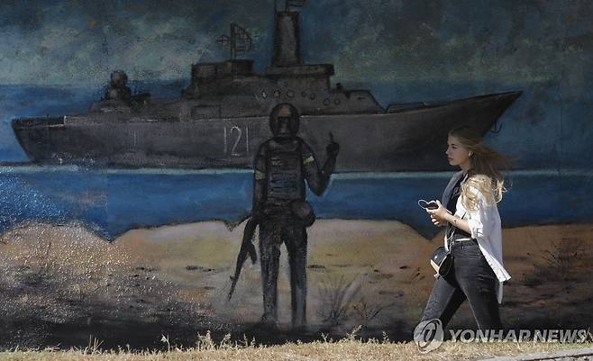 즈미이니섬 그린 우크라이나 벽화 [EPA=연합뉴스 자료사진. 재판매 및 DB 금지]