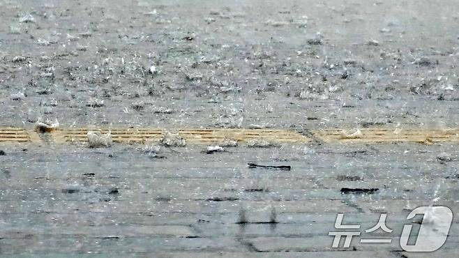 (사진은 기사 내용과 무관함) / 뉴스1 ⓒ News1