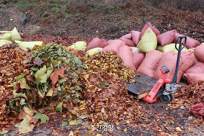 퇴비와 농사 계절 변화