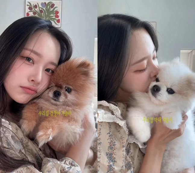 [사진=이솔이 SNS]