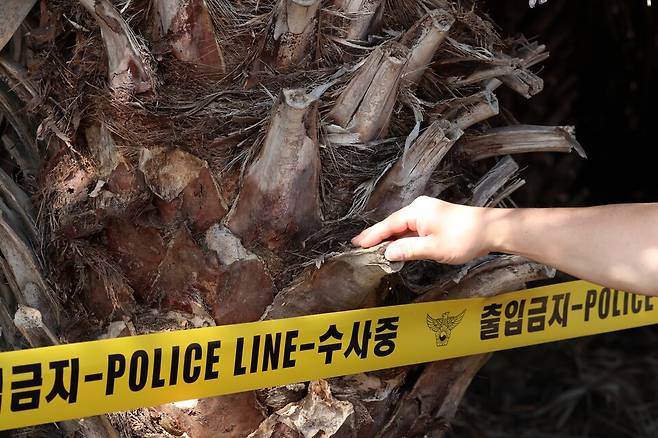제주지역 장기 실종자&nbsp;장미란씨의 시신이 발견됐던 제주시 한림읍의&nbsp;야자수농장 현장에 8월26일 폴리스라인이 설치돼 있다. ⓒ연합뉴스