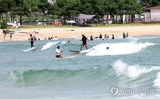 양양 서핑 [연합뉴스 자료사진]